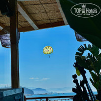 фото из отзыва ID 2728906