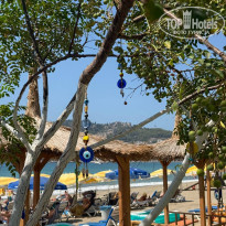 фото из отзыва ID 2728938