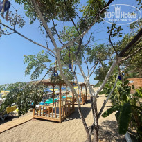 фото из отзыва ID 2728938