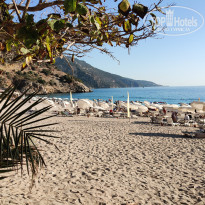 фото из отзыва ID 2728940