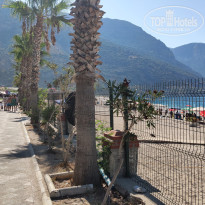 фото из отзыва ID 2728940