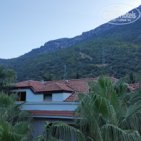 фото из отзыва ID 2728940