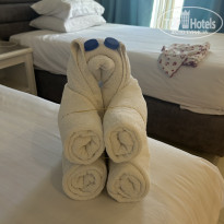 фото из отзыва ID 2728948