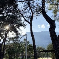 фото из отзыва ID 2728968