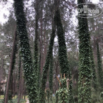 фото из отзыва ID 2728968