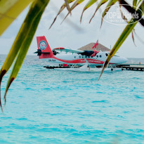 фото из отзыва ID 2728980