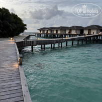 фото из отзыва ID 2728980