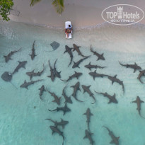 фото из отзыва ID 2728980