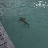 фото из отзыва ID 2728980