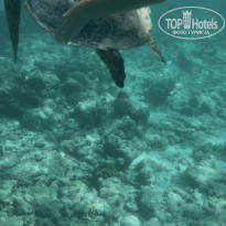 фото из отзыва ID 2728980