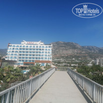 фото из отзыва ID 2728977