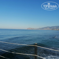 фото из отзыва ID 2728977