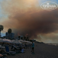 фото из отзыва ID 2728977