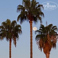 фото из отзыва ID 2729009