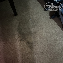 фото из отзыва ID 2729020