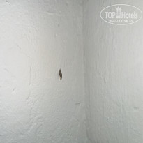 фото из отзыва ID 2729020