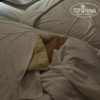 фото из отзыва ID 2729020