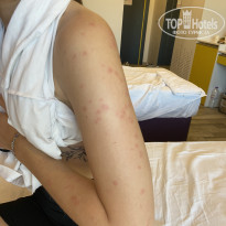 фото из отзыва ID 2729057