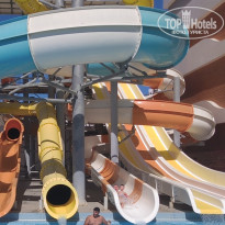 фото из отзыва ID 2729087