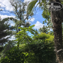 фото из отзыва ID 2729097