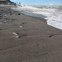 фото из отзыва ID 2729097