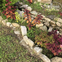 фото из отзыва ID 2729097