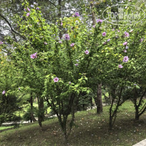 фото из отзыва ID 2729097