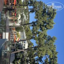 фото из отзыва ID 2729098