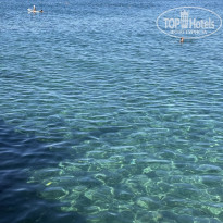 фото из отзыва ID 2729107