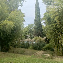 фото из отзыва ID 2729109