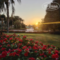 фото из отзыва ID 2729113