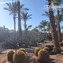 фото из отзыва ID 2729113