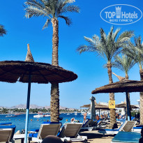 фото из отзыва ID 2729124