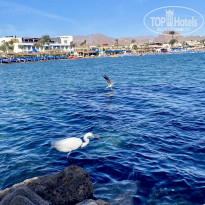 фото из отзыва ID 2729124