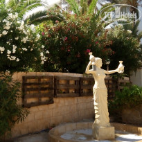 фото из отзыва ID 2729066