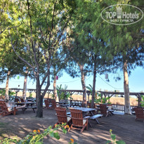 фото из отзыва ID 2729180