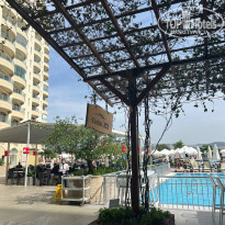 фото из отзыва ID 2729197