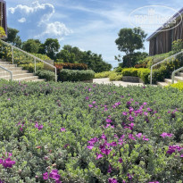 фото из отзыва ID 2729143