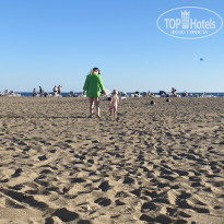 фото из отзыва ID 2729206