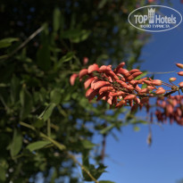 фото из отзыва ID 2729226