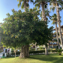 фото из отзыва ID 2729226