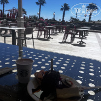 фото из отзыва ID 2729239