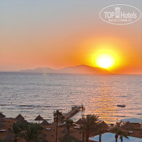 фото из отзыва ID 2729218