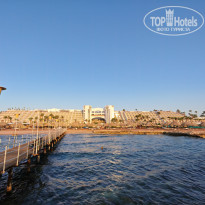 фото из отзыва ID 2729218