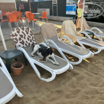 фото из отзыва ID 2729251