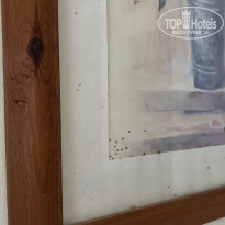 фото из отзыва ID 2729254