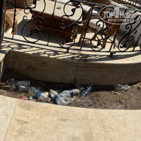 фото из отзыва ID 2729254