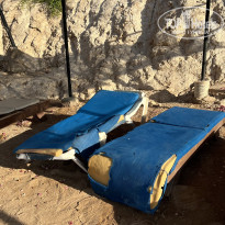 фото из отзыва ID 2729254