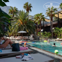 фото из отзыва ID 2729256