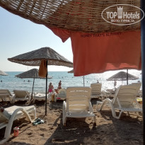 фото из отзыва ID 2729256